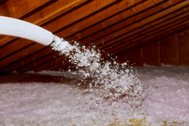 Best Specialty Insulation in Tsaile, AZ