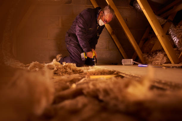 Best Insulation Maintenance and Repair in Tsaile, AZ