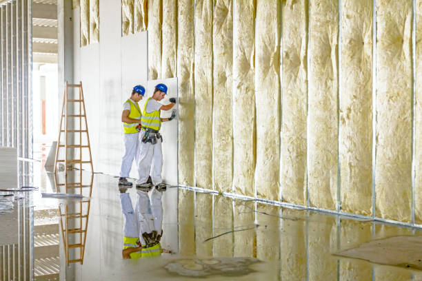 Best Insulation for Specific Applications in Tsaile, AZ